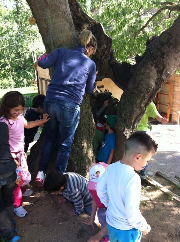 DE COLÒNIES CICLE INFANTIL